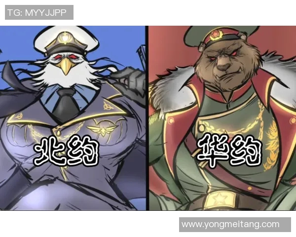 博阿维斯与费雷拉的激烈对决谁将赢得这场精彩较量