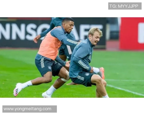 南特与雷恩对决分析谁将赢得这场精彩的法甲较量 南特与雷恩对决分析谁将赢得这场精彩的法甲较量