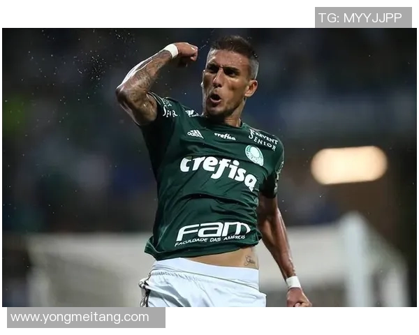 帕梅拉斯与博塔佛激战正酣谁能在这场对决中笑到最后